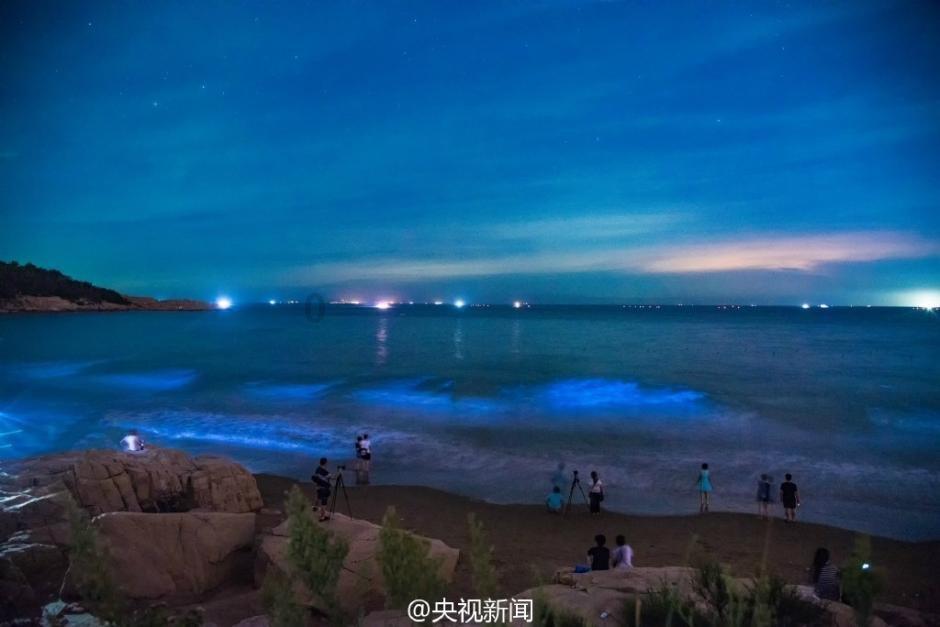 部落陷阱逃脱