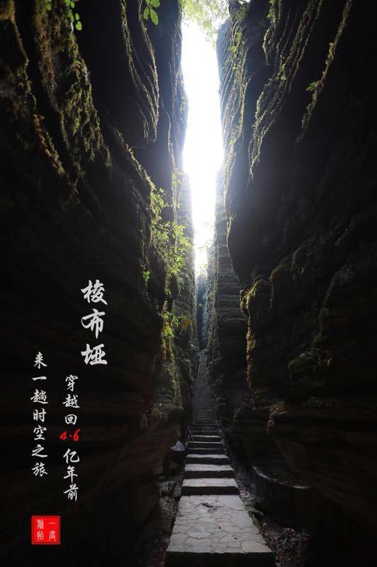自治区十四届人大二次会议22日开幕！会期4天半，有这些重要议程→