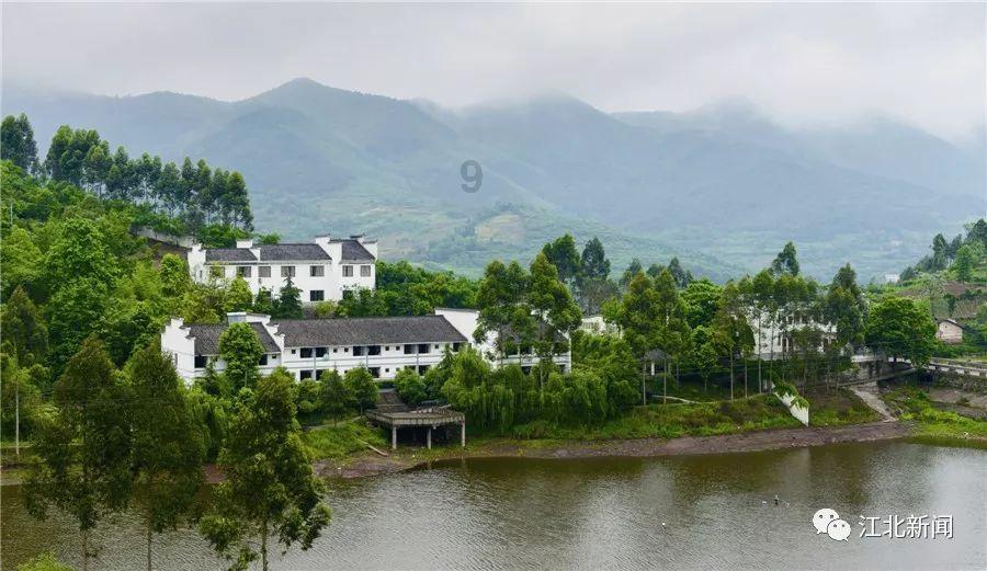 缤纷水果茶无敌版