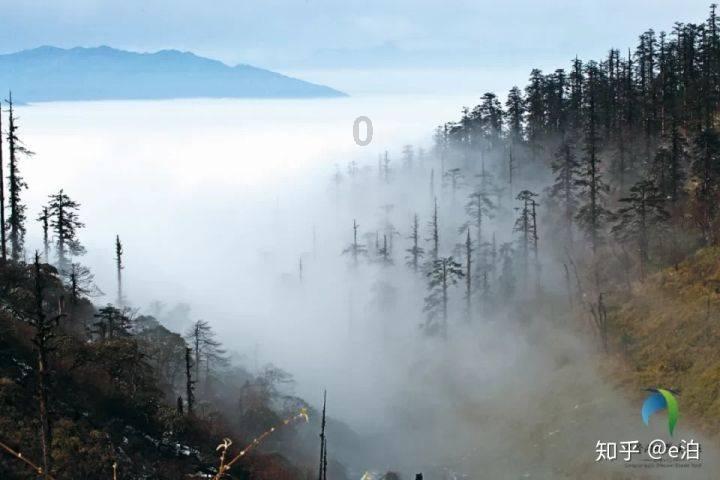 无尽奔跑