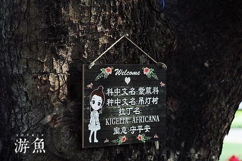 尘埃3