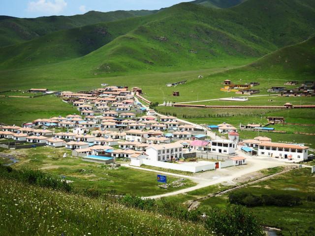 拯救精灵的土地8