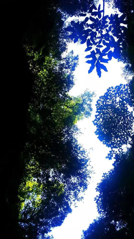 行李箱密码忘了别着急!教你一招,30秒找回密码轻松打开,快试试