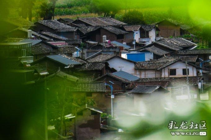 《幻兽帕鲁》玉藻狐捕捉位置介绍