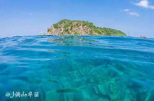 怎样在机关事业单位不被老油条欺负？游戏画面