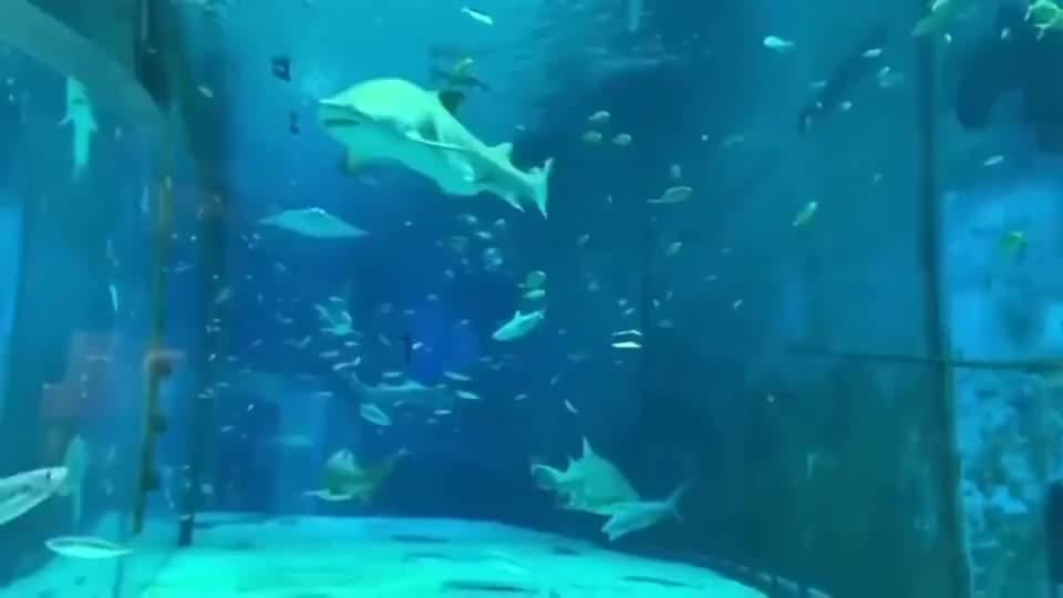 三大战役，为何淮海战役最难打？看看参战的国军将领都是谁