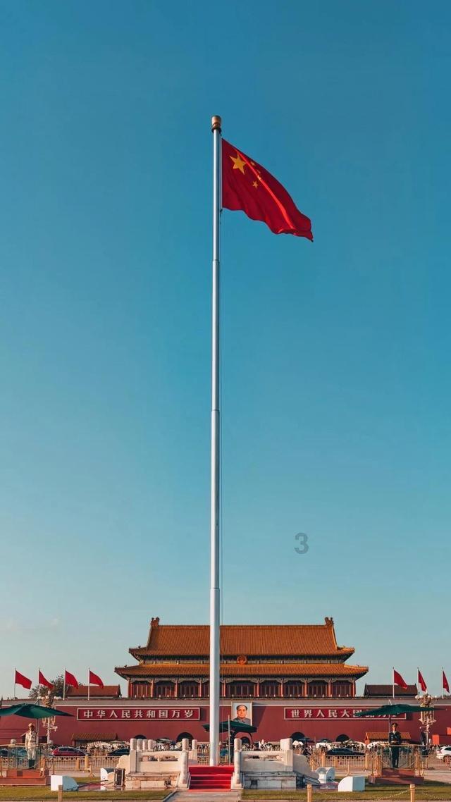 可爱的小考拉
