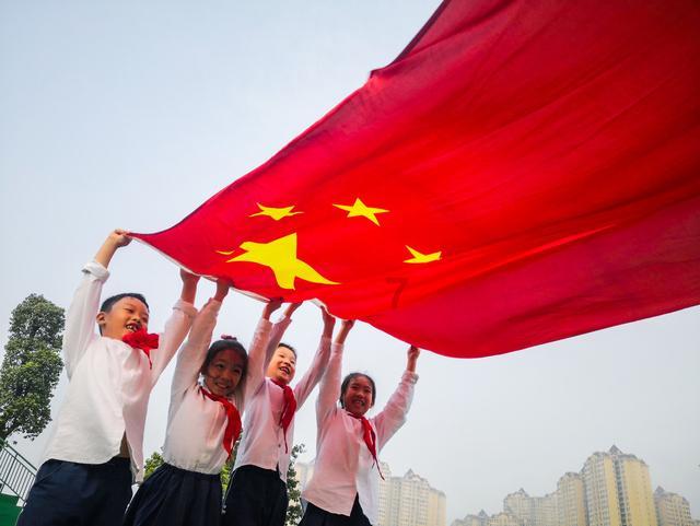 救援可爱小猪仔