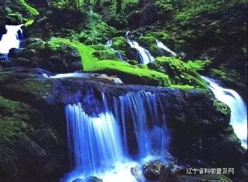 魔法比赛
