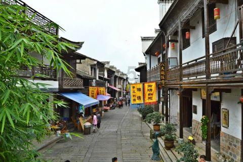 虎胆熊威3