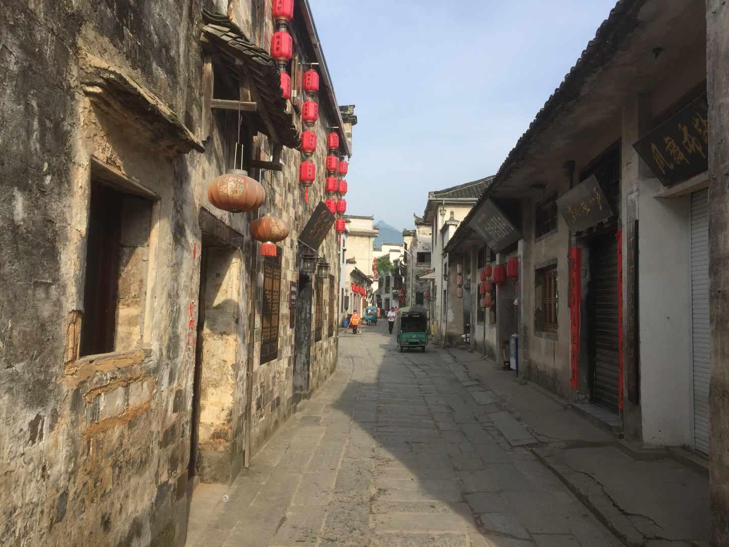 小长颈鹿逃离