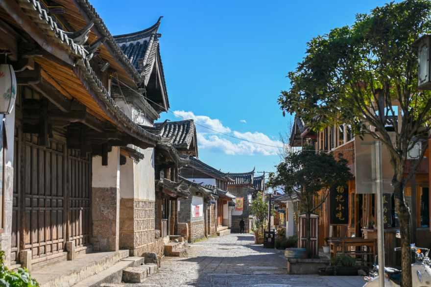 放飞笼中鸟