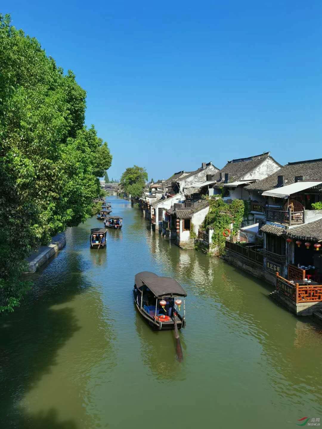 《如果奔跑是我的人生》若华敢对母亲宣战,原来是有高人指点