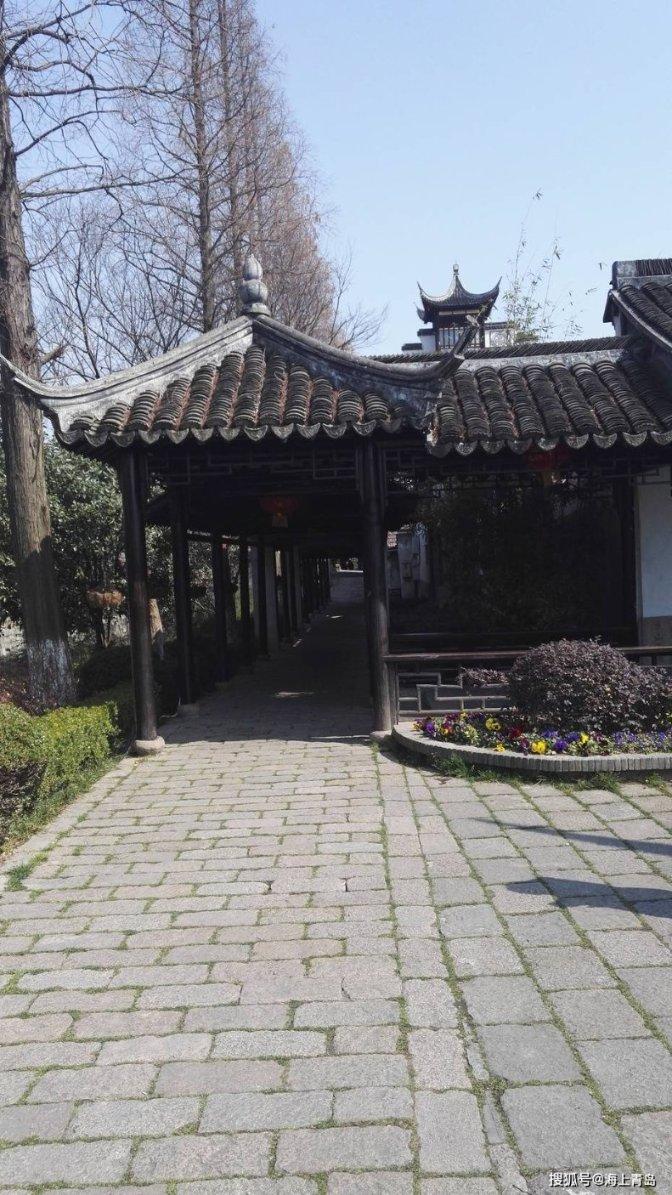 饥饿的哈利
