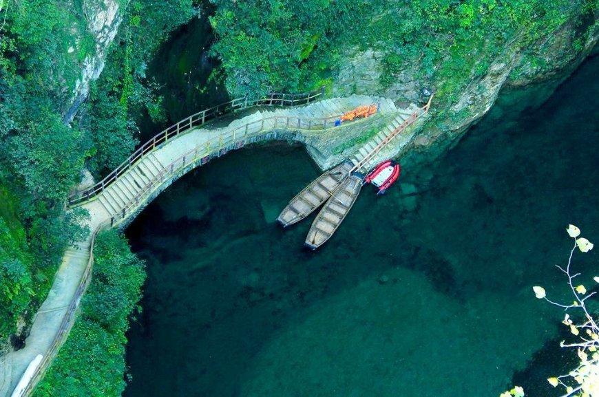 小猫钓鱼游戏龙王版有船
